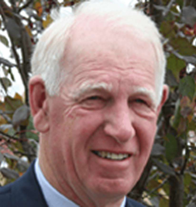 Smiling elderly man outdoors near foliage